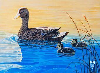 Mother Duck - Acrylic Painting