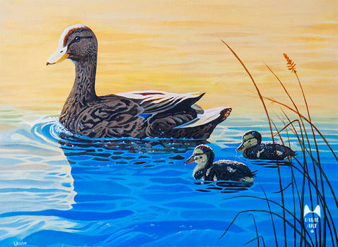 Mother Duck - Acrylic Painting