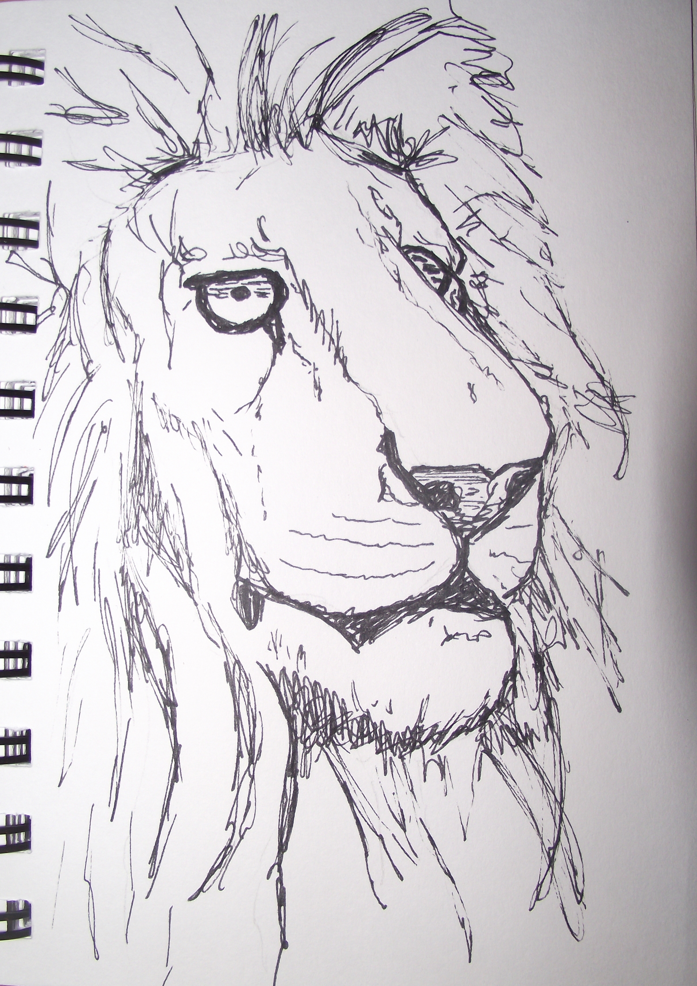 Lion