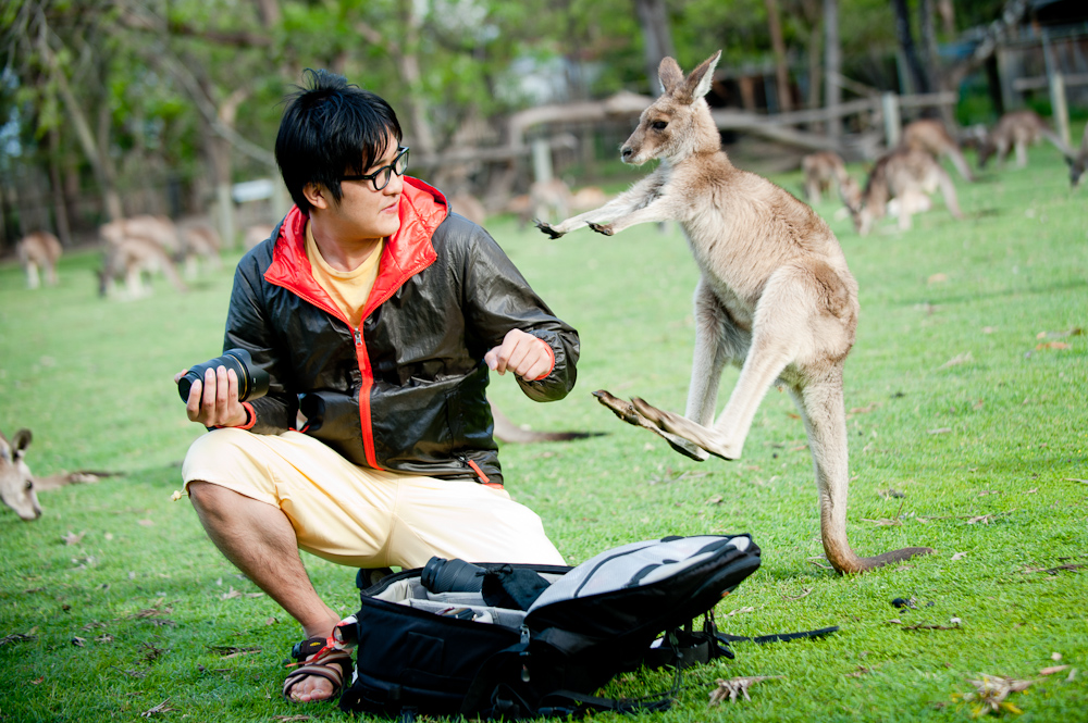 KANGAROO ATTACK111