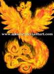 Phoenix :3 by izka197