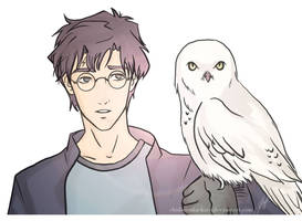 Harry and Hedwig