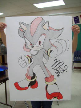 Shadow The Hedgehog Poster