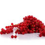 Redcurrants 01