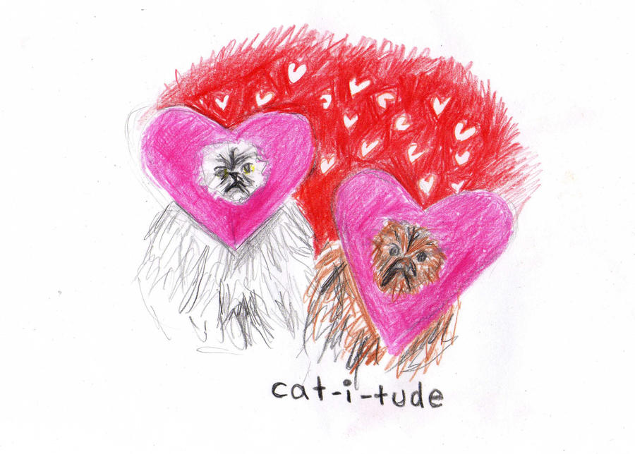 cat-i-tude