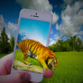 Iphonetiger