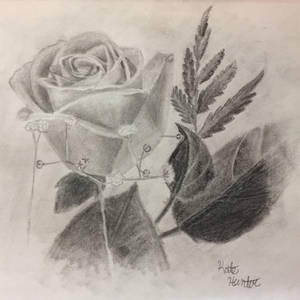 A Rose from Me to You