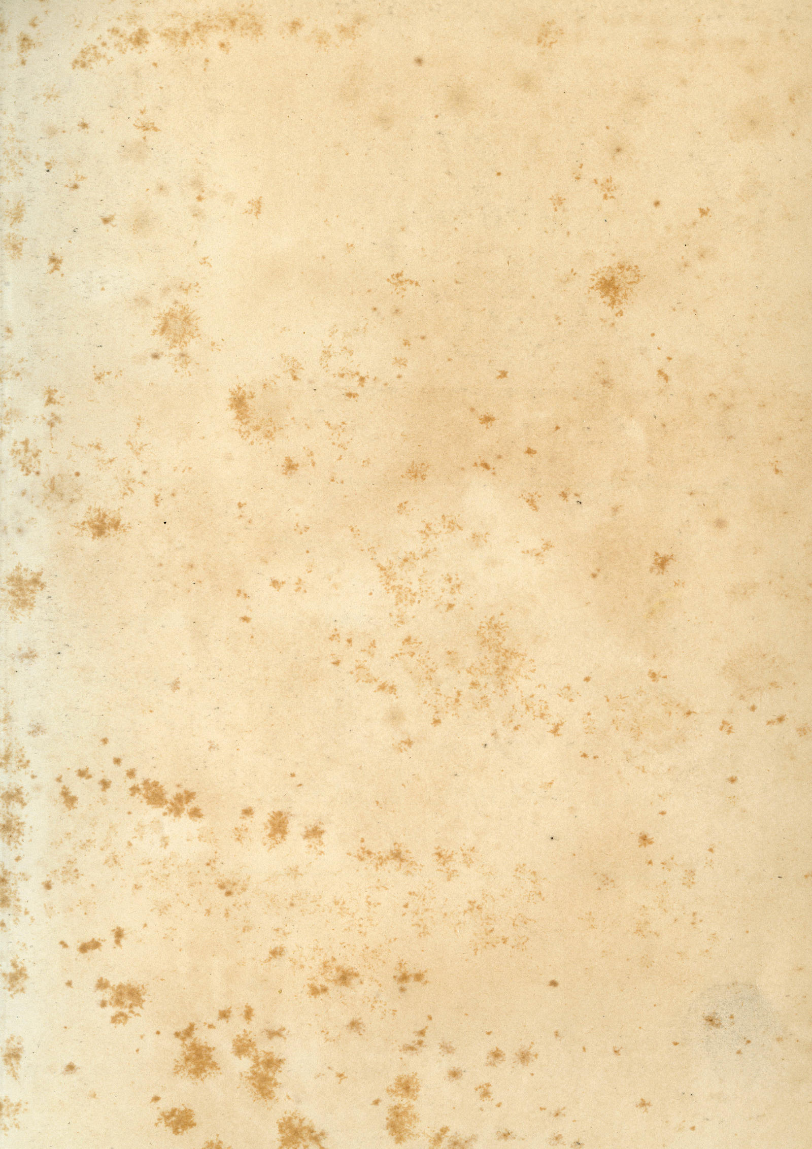 Vintage Paper (6) by duzulek on DeviantArt