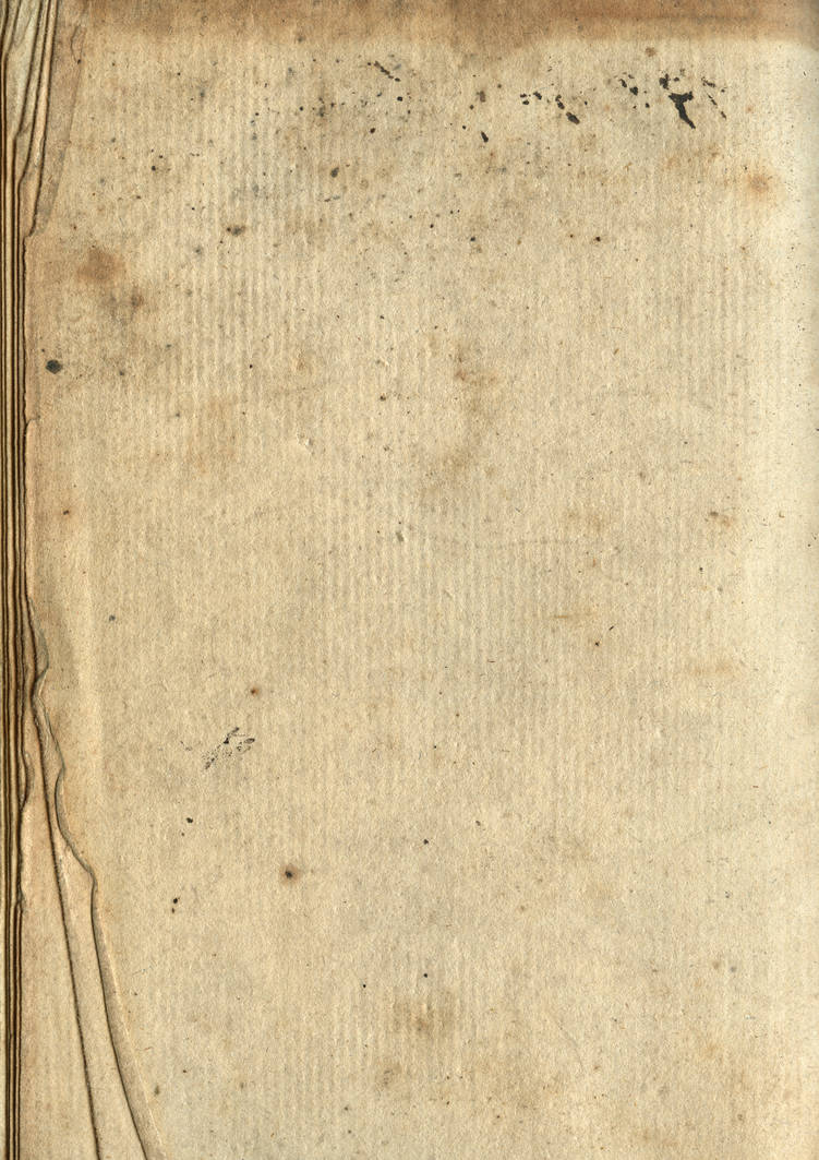 Paper Texture 39 by duzulek on DeviantArt