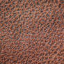 Leather Texture (6)