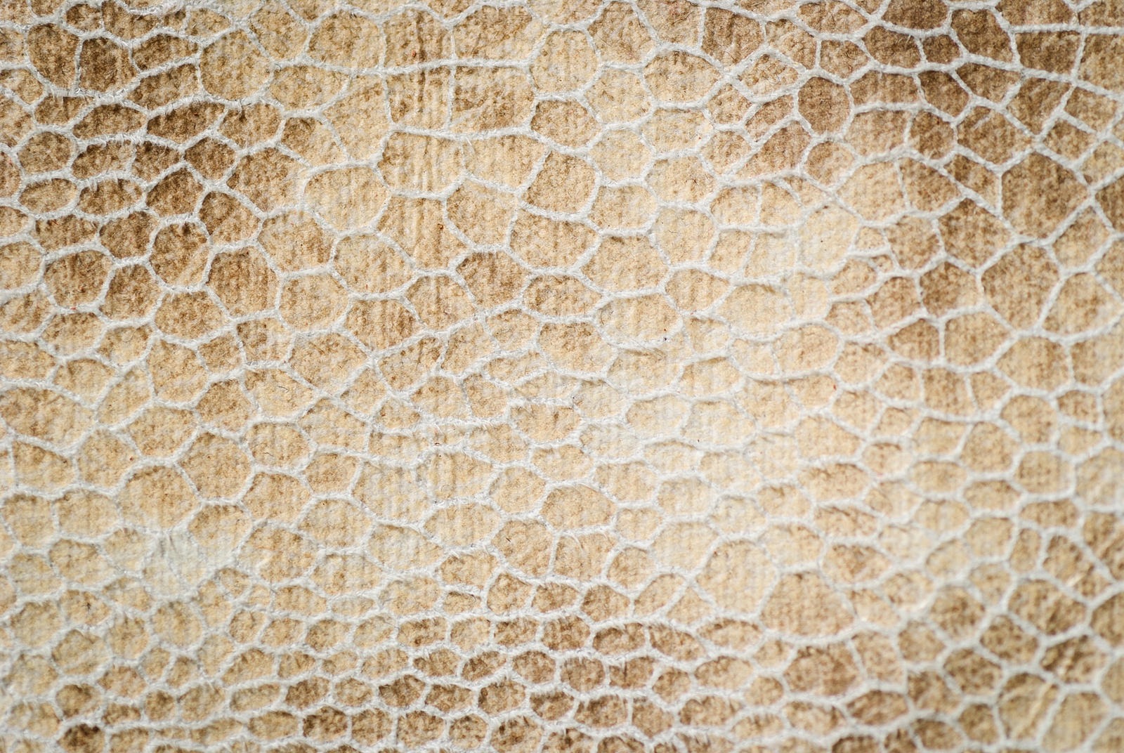 Leather Texture (8) by duzulek on DeviantArt