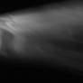 Rays Cinematic (5)