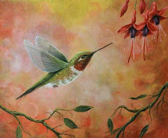 Hummingbird