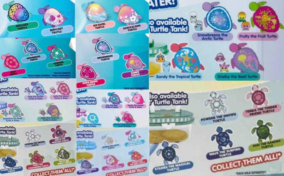 Simone's Turtle Collection Sea Turtles Collection by sweetmagic6688 on DeviantArt