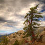 Tahquitz Peak Hike - 7 HDR