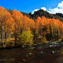 Eastern Sierras Fall Colors 4