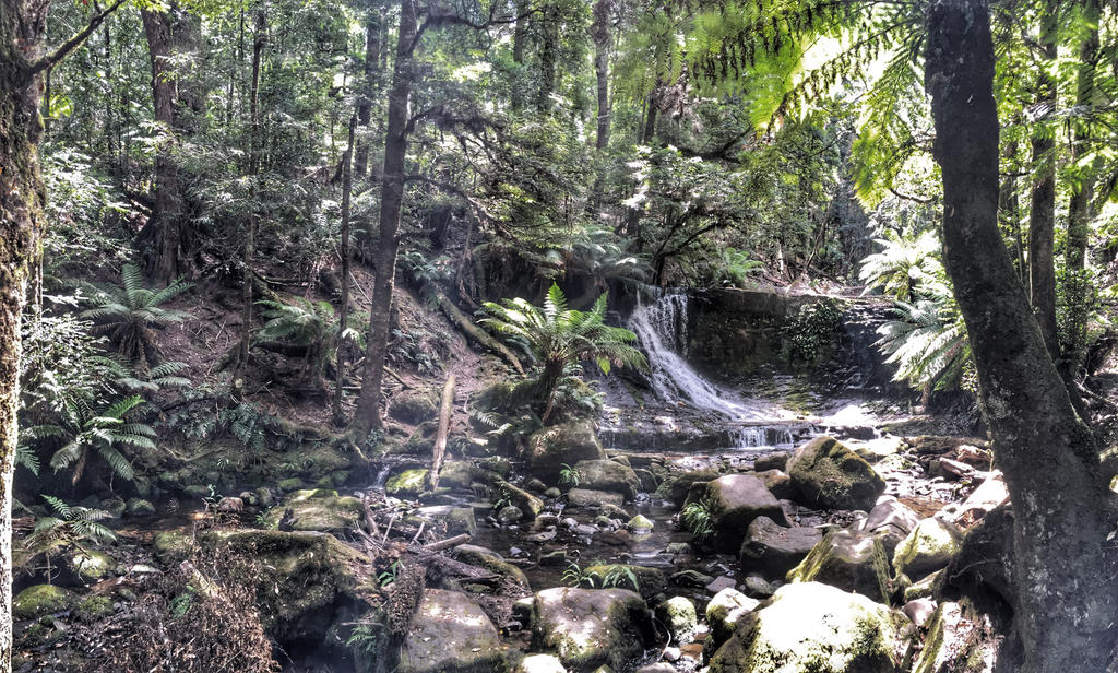 Horseshoe Falls