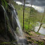 Forests and Cascades IV