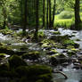 River and Green