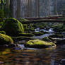 A Breath of Golden Green II