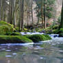 silver stream through black forest green II