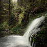 along the Black Forest