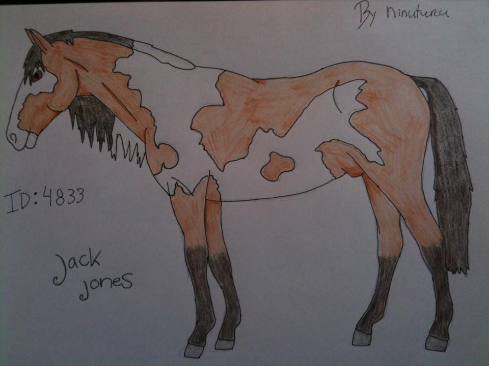 4833 Jack Jones