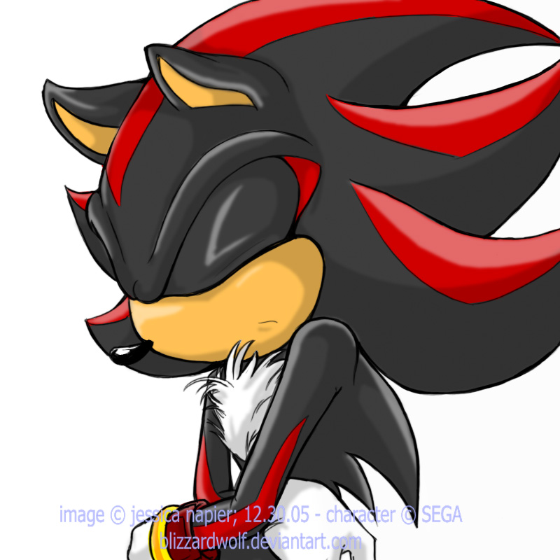 shh, shadow's angsting.