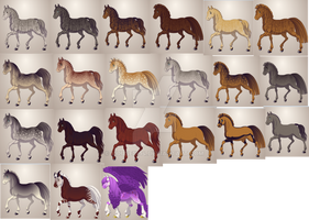 Horse Adopts// Open 20/21