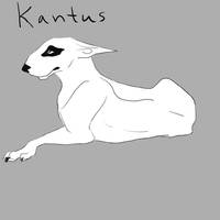 Kantus the bully