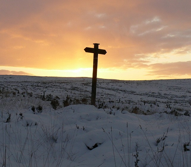 The sign post