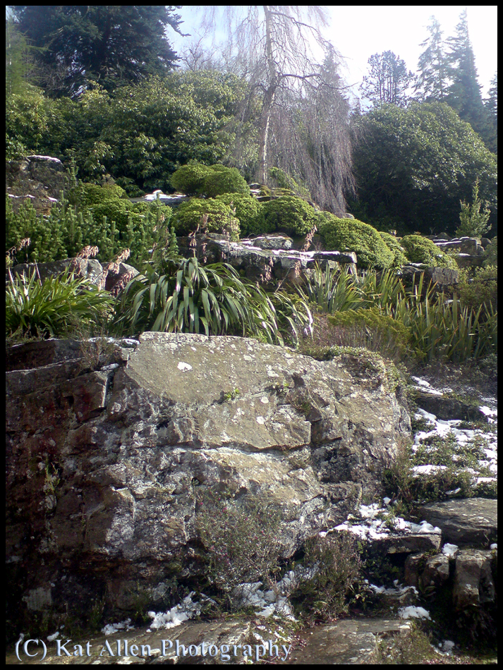 Cragside House: The Garden 1