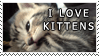 I love Kittens stamp