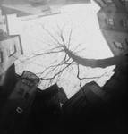 up to top by estod