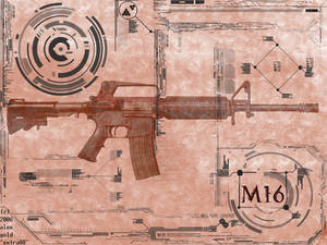 M16 cover