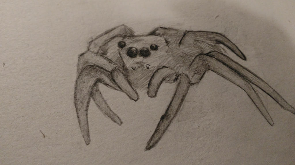 Spider Insect Deviantart Spider by InterstellarAlsatian on DeviantArt