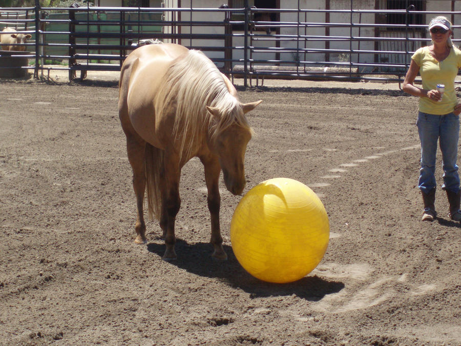 Twister and Toy