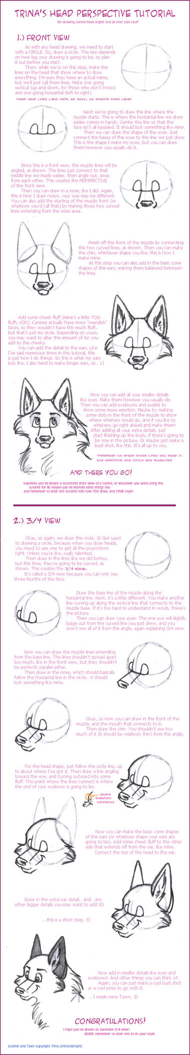 Head Perspective Tutorial