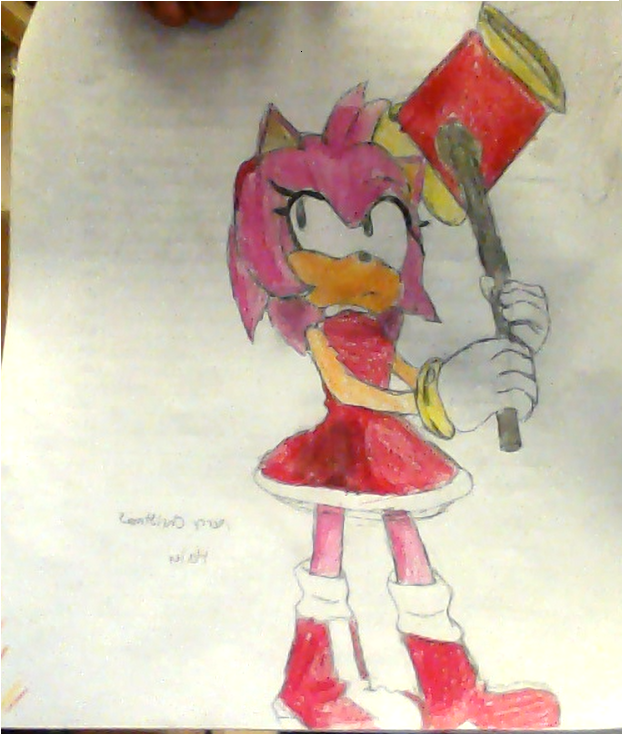 amy rose