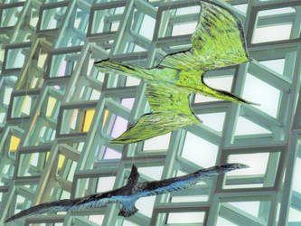 The Glass Gull (2)