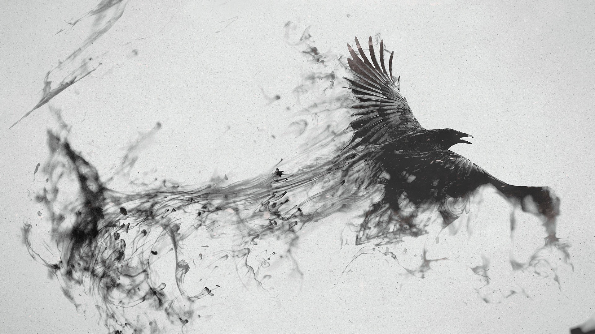 Flying Bird Smoke Black White