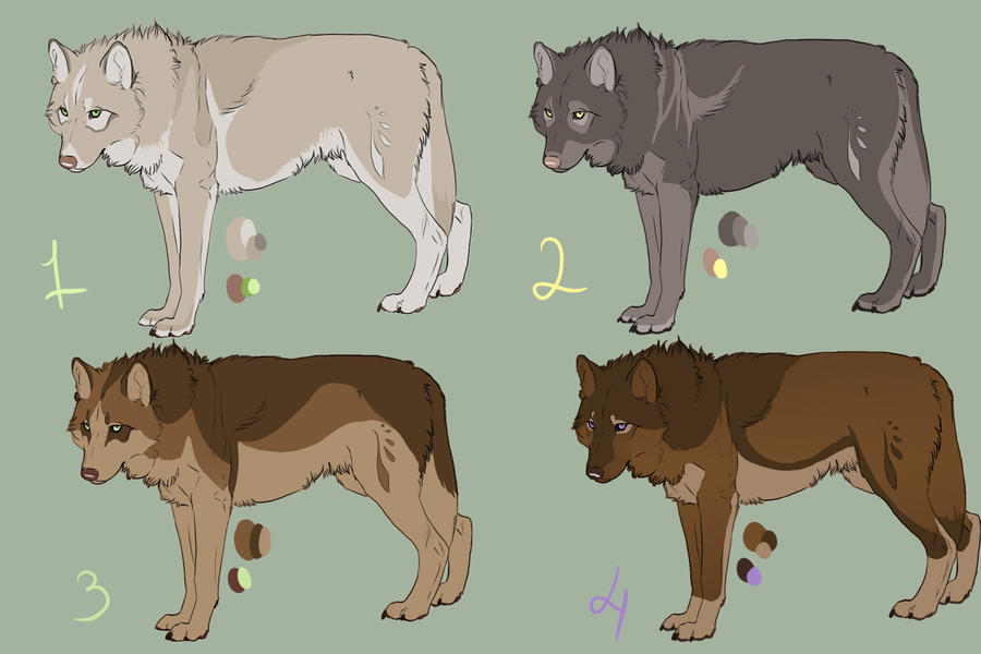 Females Zaonis adoptables