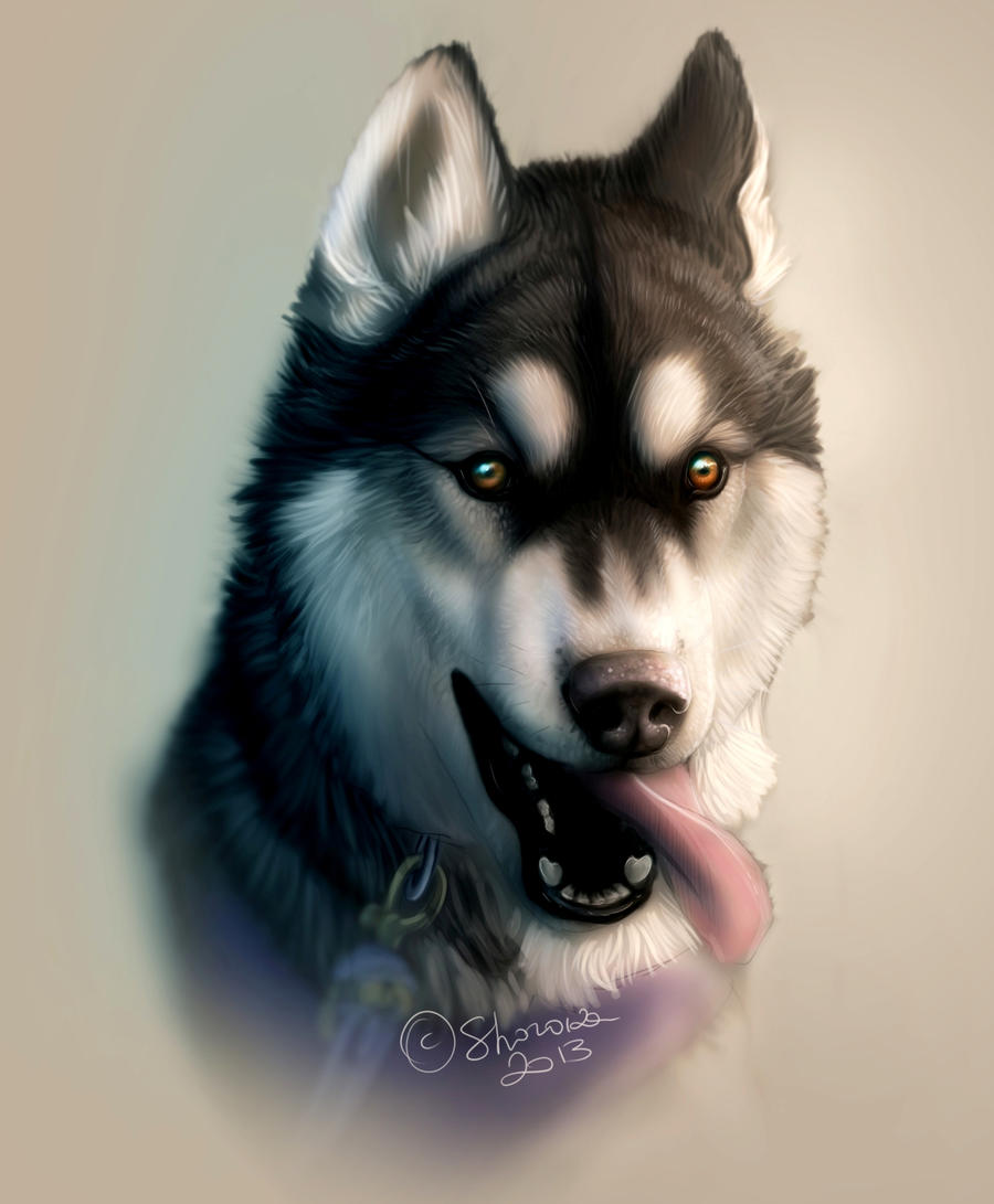 Husky Deviantart Husky portrait by Sharaiza on DeviantArt