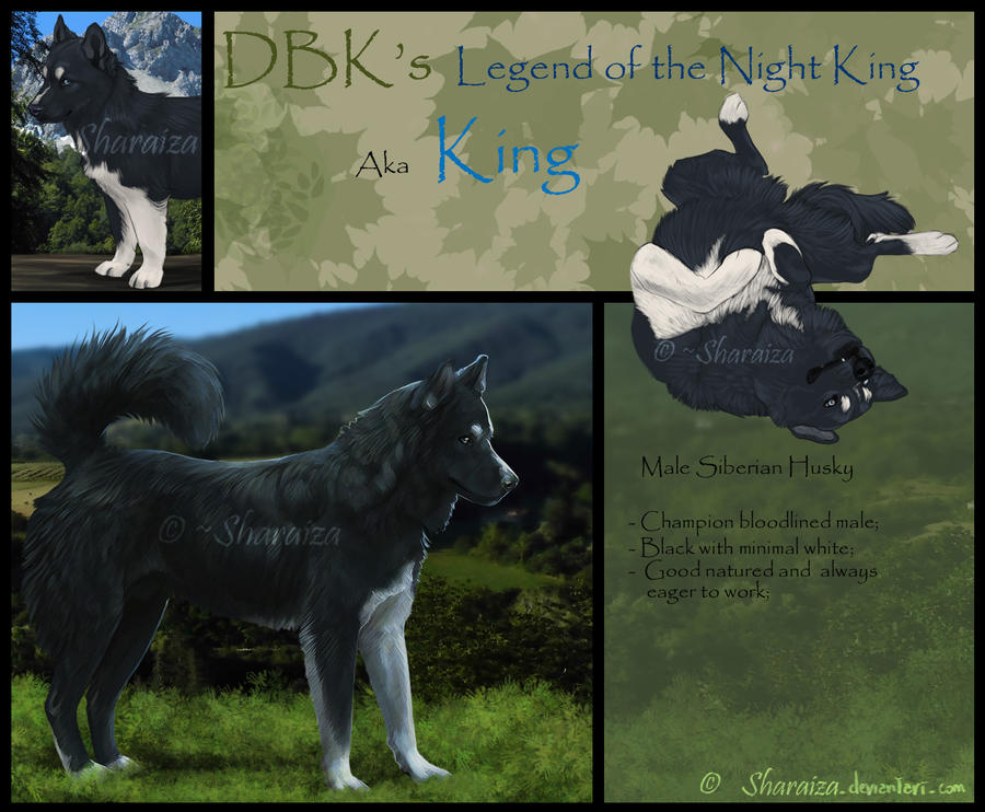 Dbk Runes DBK's King by Sharaiza on DeviantArt