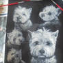 Westie Pet Portrait - Painted