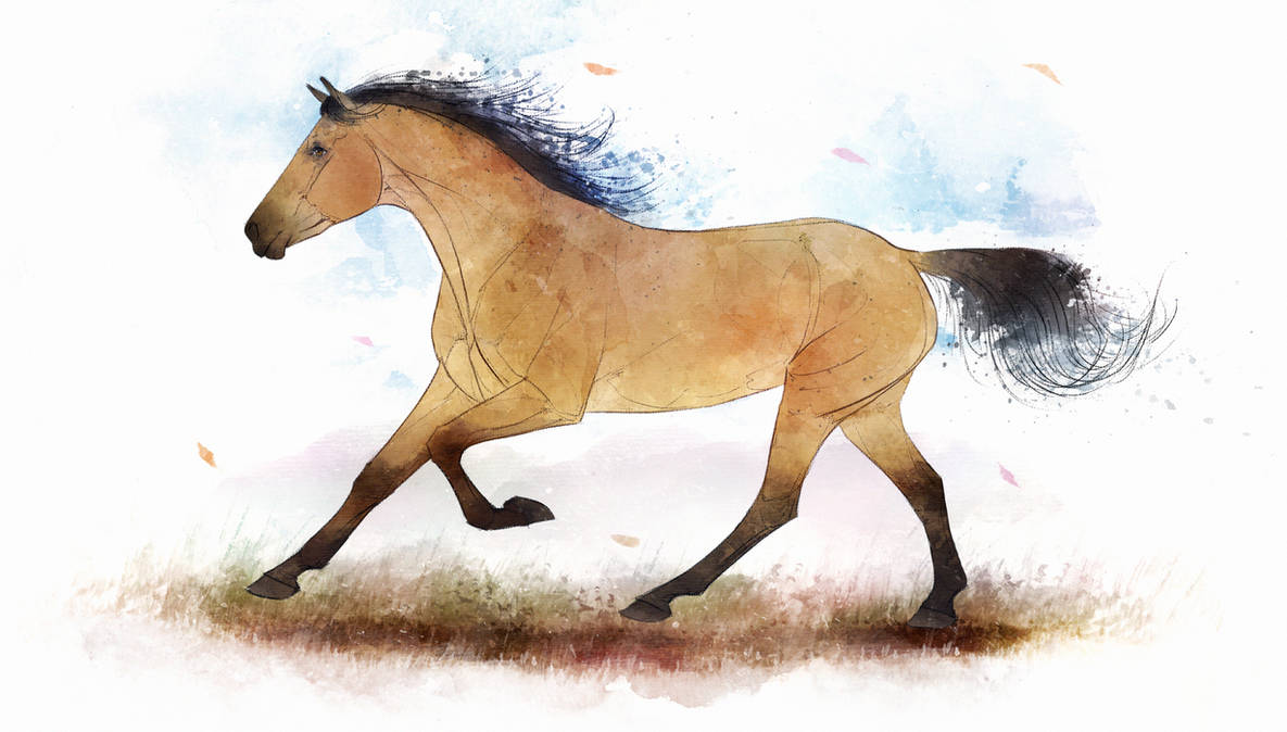 Jadoube by Vakrai Jadoube by Vakrai