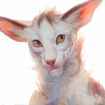 Portrait Speedpaint 76 by Vakrai