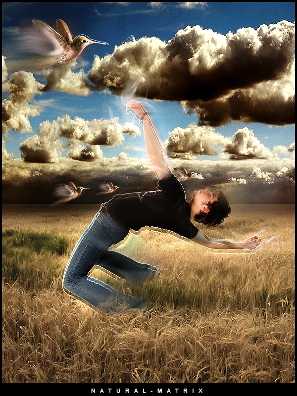 LP - Natural Matrix by TNTDesign on DeviantArt