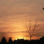 Paris orange evening