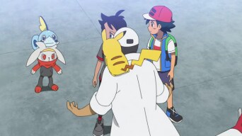 Pokemon (2019) Episode 37 Discussion - Forums 